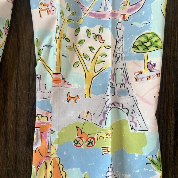 Pamela Ferrari Firenze Coat and Pant Set Size 8 - Picture 6 of 11